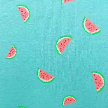 Jersey Stoff "Wassermelonen mint"